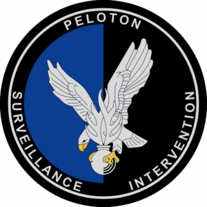 Emble╠Cme_Peloton_de_surveillance_et_dintervention_de_la_Gendarmerie_PSIG.svg.png