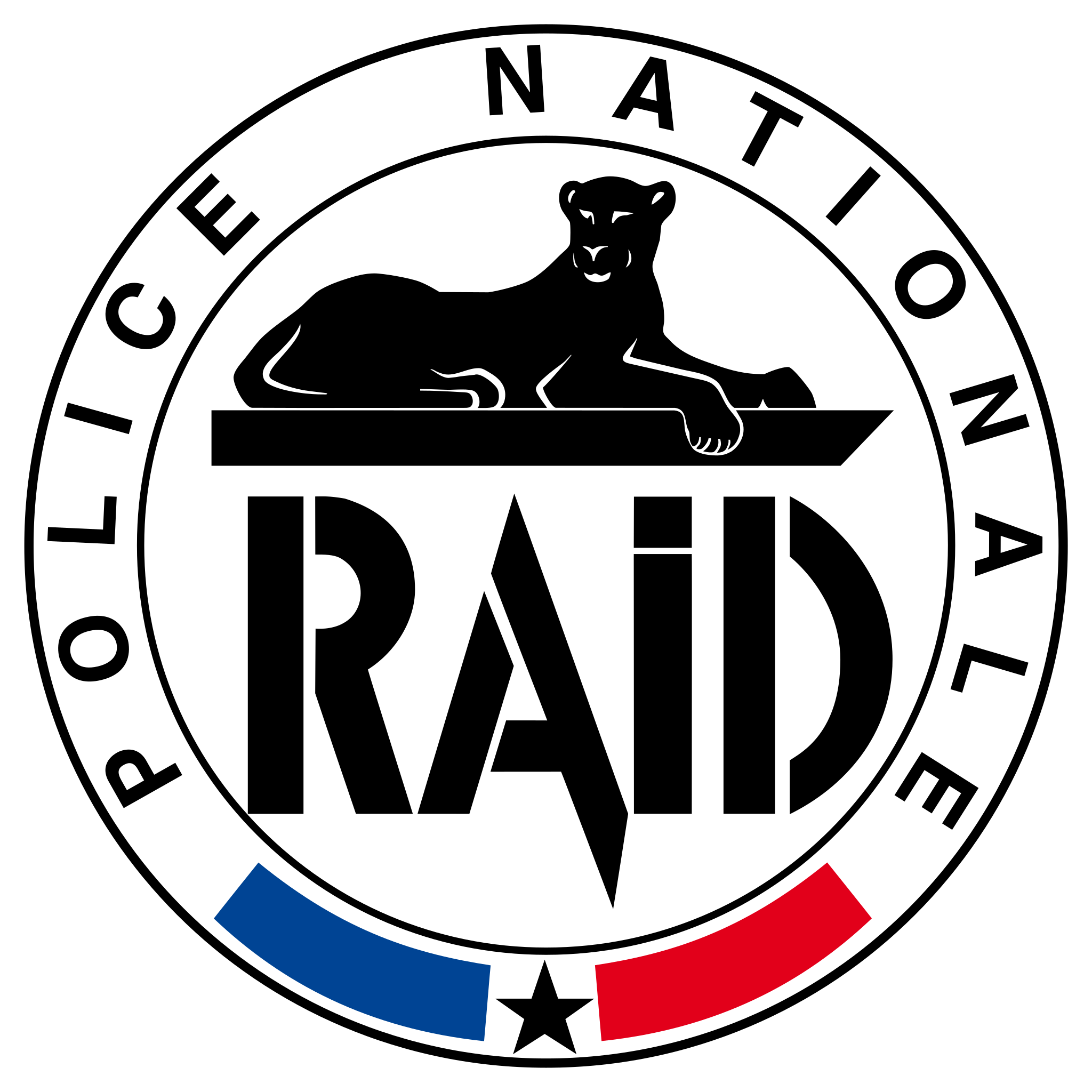 Logo_RAID.svg.png