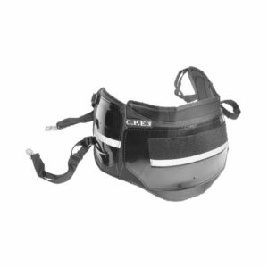 Protection de poitrail - cheval